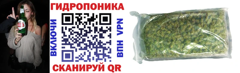 Марихуана сатива  Белая Холуница 